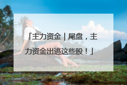主力资金｜尾盘，主力资金出逃这些股！