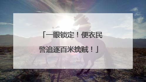一眼锁定！便衣民警追逐百米擒贼！