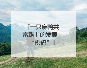 一只麻鸭共富路上的发展“密码”