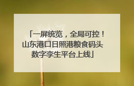 一屏统览，全局可控！山东港口日照港粮食码头数字孪生平台上线