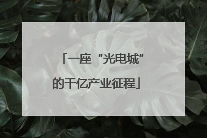 一座“光电城”的千亿产业征程