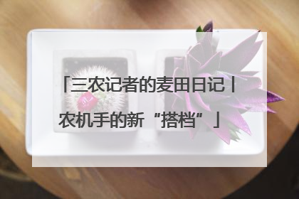 三农记者的麦田日记丨农机手的新“搭档”