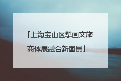 上海宝山区擘画文旅商体展融合新图景