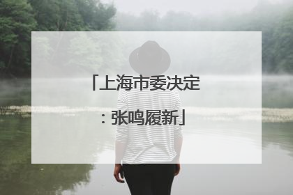 上海市委决定：张鸣履新