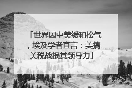 世界因中美缓和松气，埃及学者直言：美搞关税战损其领导力
