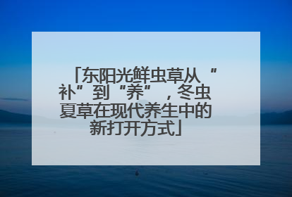 东阳光鲜虫草从“补”到“养”，冬虫夏草在现代养生中的新打开方式