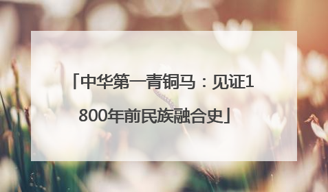 中华第一青铜马：见证1800年前民族融合史