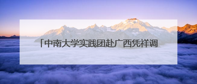 中南大学实践团赴广西凭祥调研：甘蔗渣化身“绿色财富”