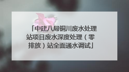 中建八局铜川废水处理站项目废水深度处理（零排放）站全面通水调试