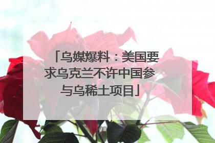乌媒爆料：美国要求乌克兰不许中国参与乌稀土项目