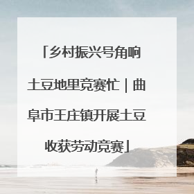 乡村振兴号角响 土豆地里竞赛忙｜曲阜市王庄镇开展土豆收获劳动竞赛
