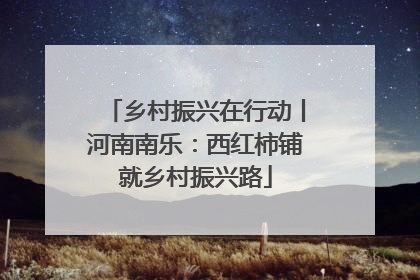 乡村振兴在行动丨河南南乐：西红柿铺就乡村振兴路
