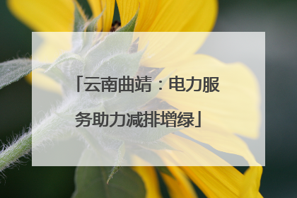 云南曲靖：电力服务助力减排增绿