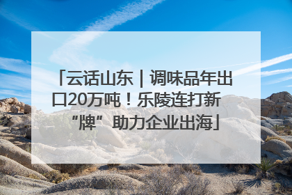 云话山东｜调味品年出口20万吨！乐陵连打新“牌”助力企业出海