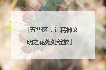 五华区：让精神文明之花处处绽放