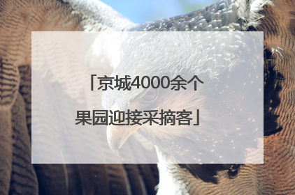 京城4000余个果园迎接采摘客
