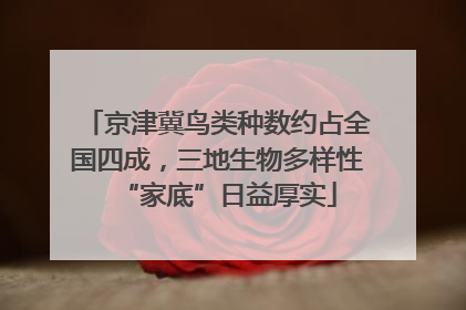 京津冀鸟类种数约占全国四成，三地生物多样性“家底”日益厚实