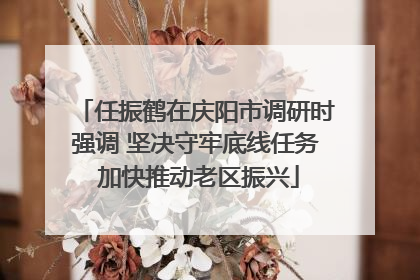 任振鹤在庆阳市调研时强调 坚决守牢底线任务 加快推动老区振兴