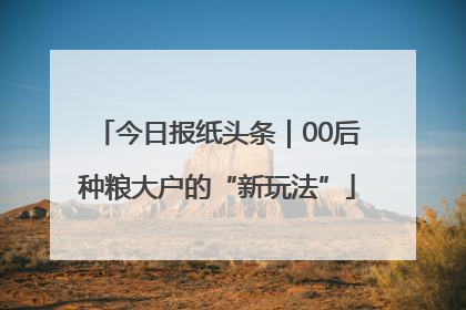 今日报纸头条｜00后种粮大户的“新玩法”