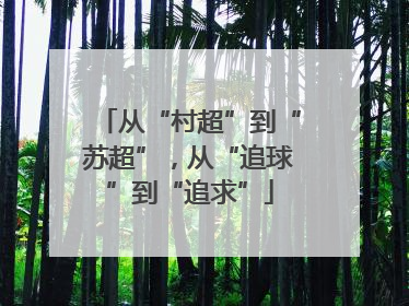 从“村超”到“苏超”，从“追球”到“追求”