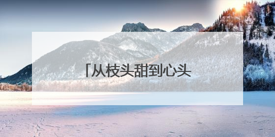 从枝头甜到心头，海南邮政快速助“荔”出岛
