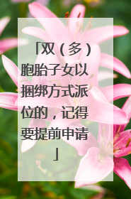双（多）胞胎子女以捆绑方式派位的，记得要提前申请