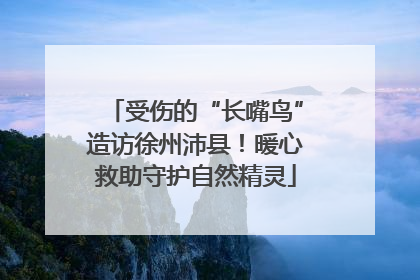 受伤的“长嘴鸟”造访徐州沛县！暖心救助守护自然精灵