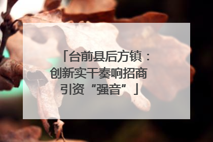 台前县后方镇：创新实干奏响招商引资“强音”