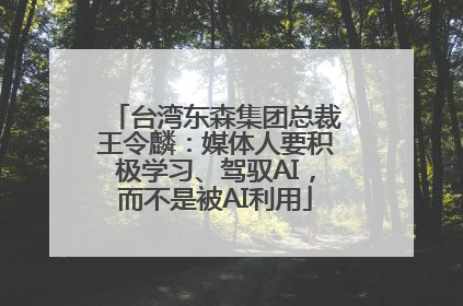 台湾东森集团总裁王令麟：媒体人要积极学习、驾驭AI，而不是被AI利用
