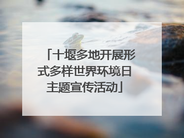 十堰多地开展形式多样世界环境日主题宣传活动
