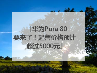 华为Pura 80要来了！起售价格预计超过5000元