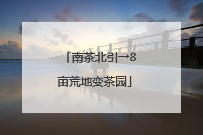 南茶北引→8亩荒地变茶园