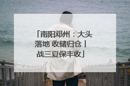南阳邓州：大头落地 收储归仓丨战三夏保丰收