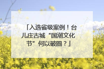入选省级案例！台儿庄古城“国潮文化节”何以破圈？