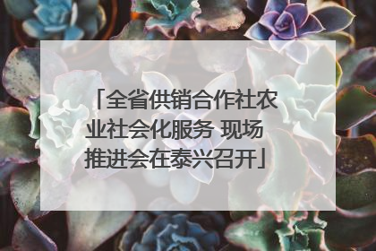 全省供销合作社农业社会化服务 现场推进会在泰兴召开