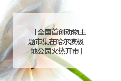 全国首创动物主题市集在哈尔滨极地公园火热开市