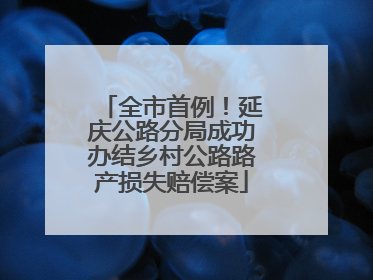 全市首例！延庆公路分局成功办结乡村公路路产损失赔偿案