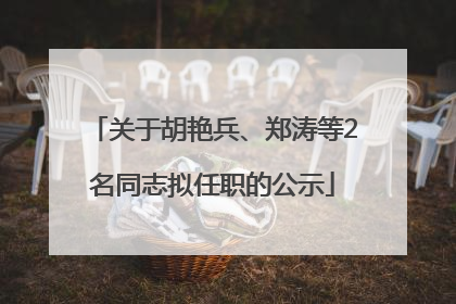 关于胡艳兵、郑涛等2名同志拟任职的公示
