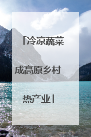 冷凉蔬菜成高原乡村热产业
