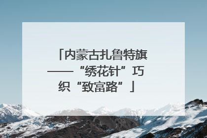 内蒙古扎鲁特旗——“绣花针”巧织“致富路”