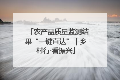农产品质量监测结果“一键直达”｜乡村行·看振兴