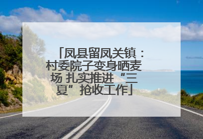 凤县留凤关镇：村委院子变身晒麦场 扎实推进“三夏”抢收工作