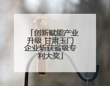 创新赋能产业升级 甘肃玉门企业斩获省级专利大奖