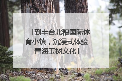 到丰台北粮国际体育小镇，沉浸式体验青海玉树文化