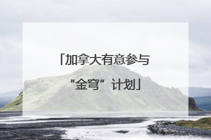加拿大有意参与“金穹”计划