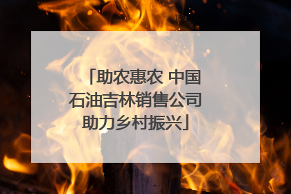 助农惠农 中国石油吉林销售公司助力乡村振兴