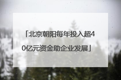 北京朝阳每年投入超40亿元资金助企业发展