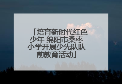 培育新时代红色少年 绵阳市桑枣小学开展少先队队前教育活动