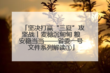 坚决打赢“三夏”攻坚战丨麦穗沉甸甸 粮安稳当当——省委一号文件系列解读①