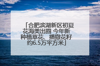 合肥滨湖新区初夏花海美出圈 今年新种植草花、播撒花籽约6.5万平方米